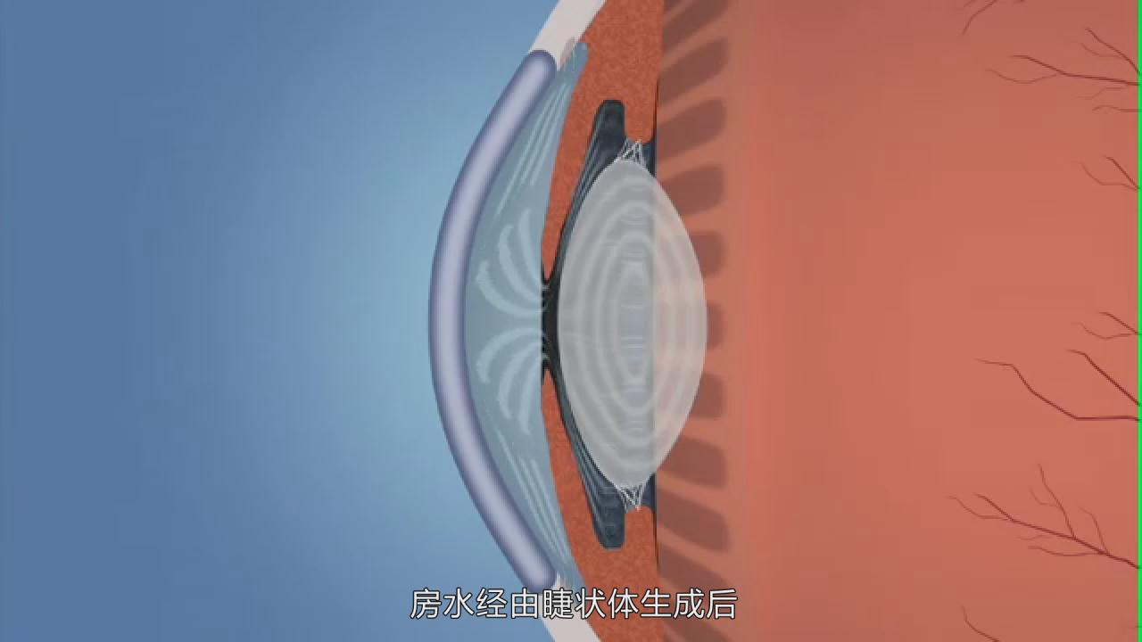 &#23436;&#32654;&#20307;&#32946;