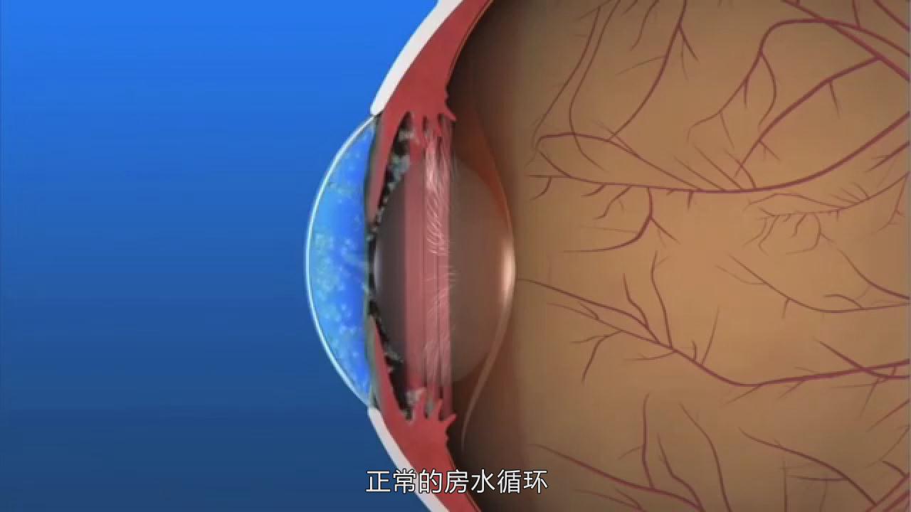&#23436;&#32654;&#20307;&#32946;