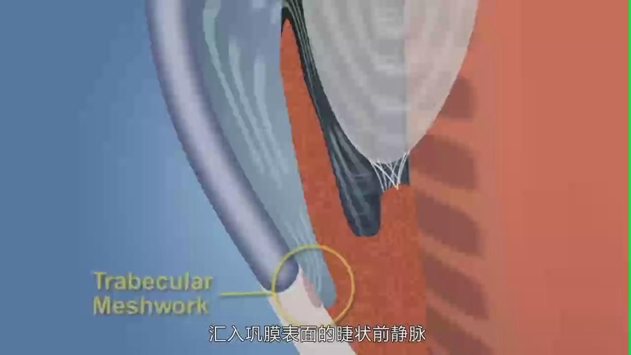 &#23436;&#32654;&#20307;&#32946;