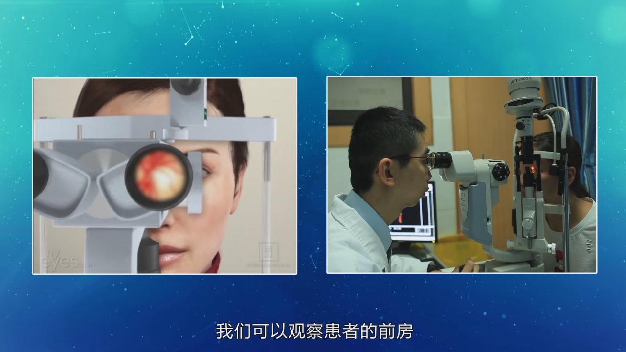 &#23436;&#32654;&#20307;&#32946;