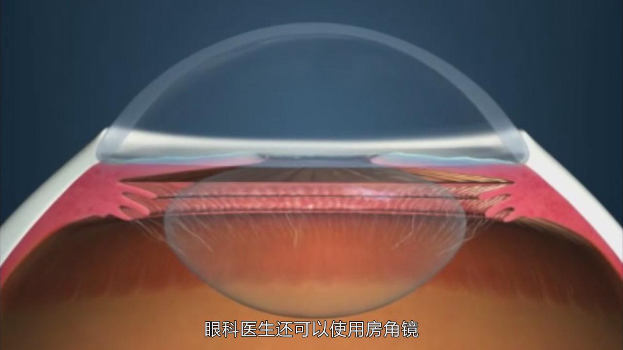 &#23436;&#32654;&#20307;&#32946;