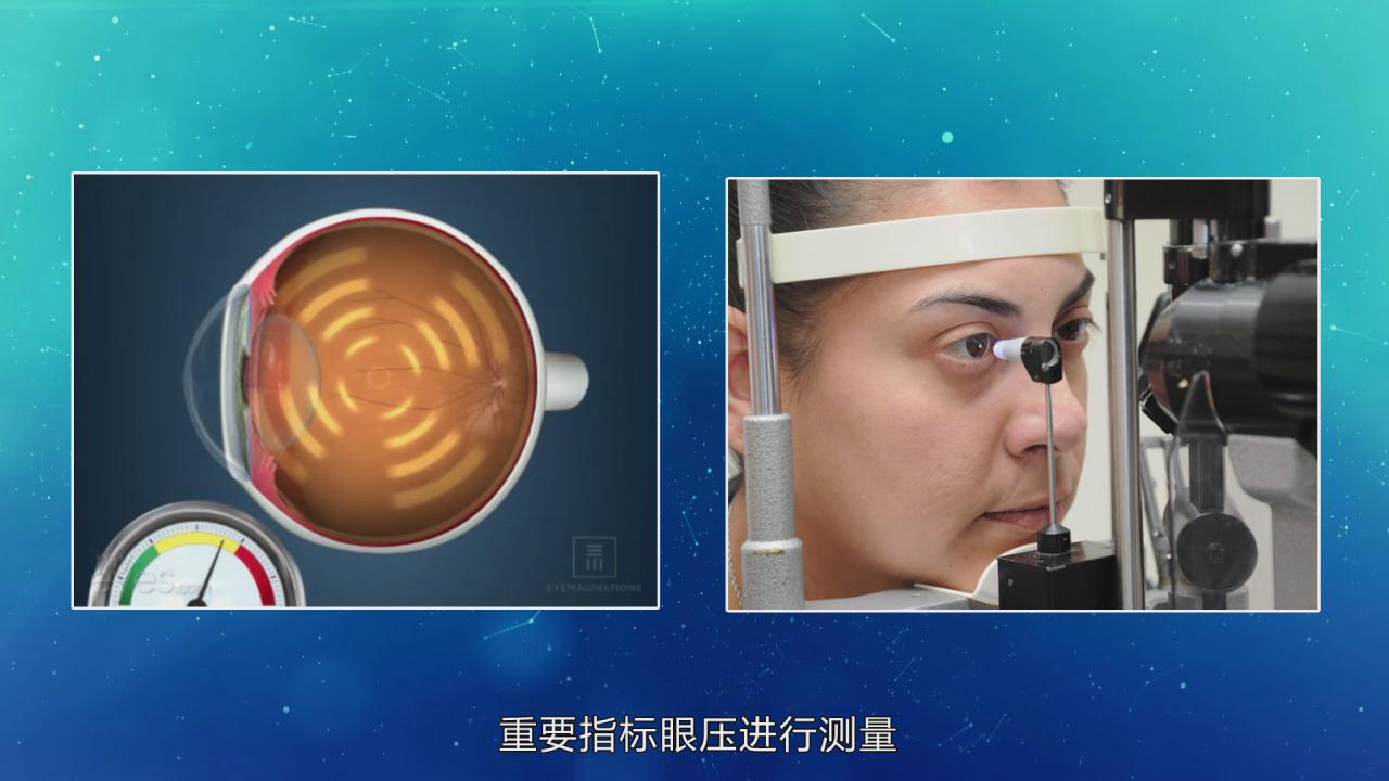 &#23436;&#32654;&#20307;&#32946;