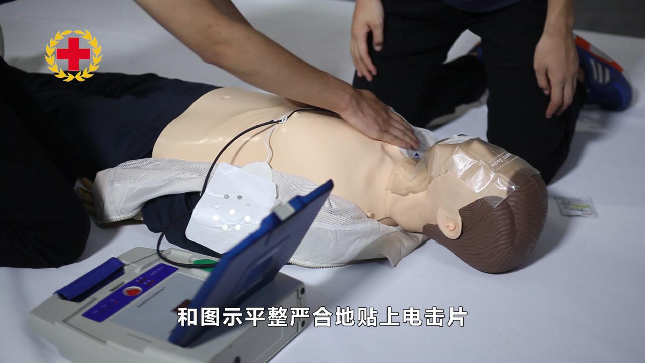 &#23436;&#32654;&#20307;&#32946;