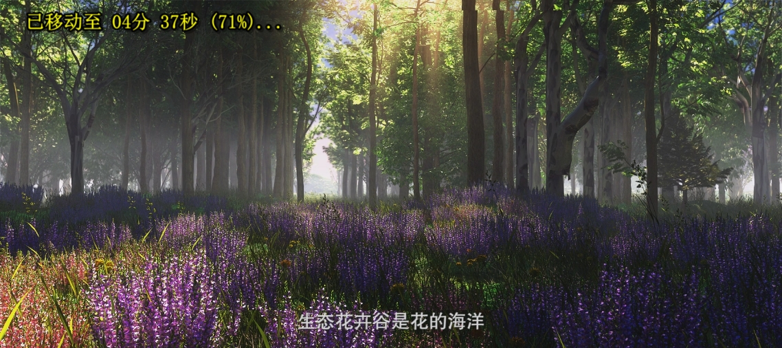 &#23436;&#32654;&#20307;&#32946;