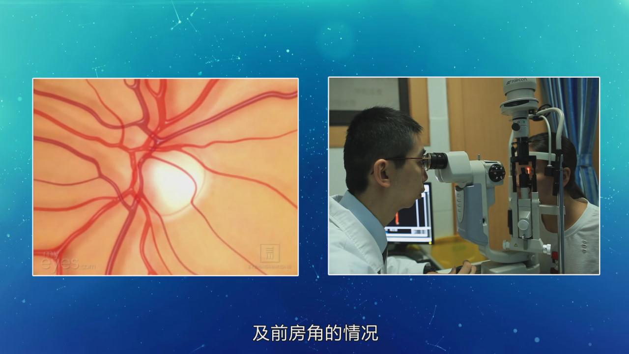 &#23436;&#32654;&#20307;&#32946;